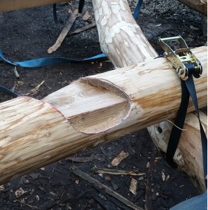 Wood Joint